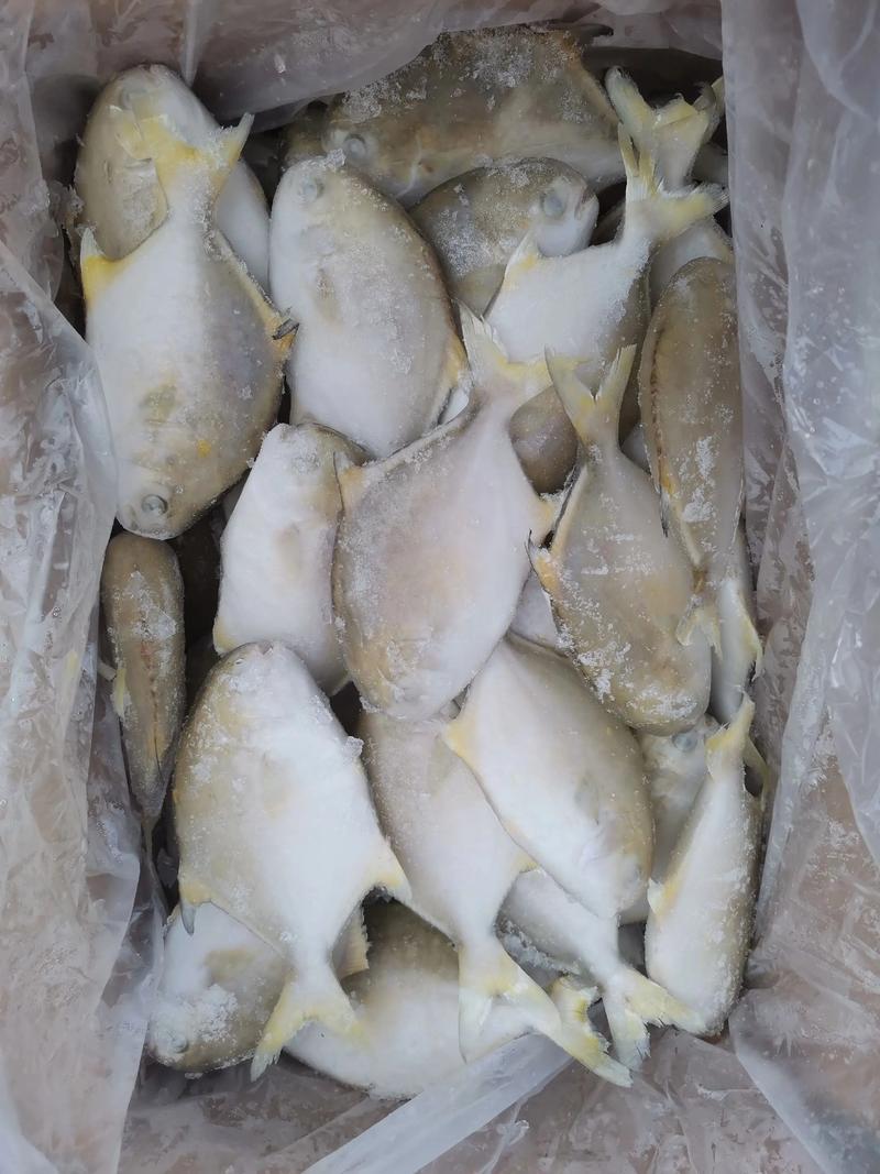 传统水产食品风味品质保真与调控技术及应用